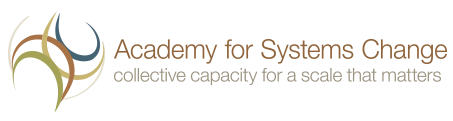 <a href="http://www.academyforchange.org/" target="_blank"> The Academy for Systemic Change</a>